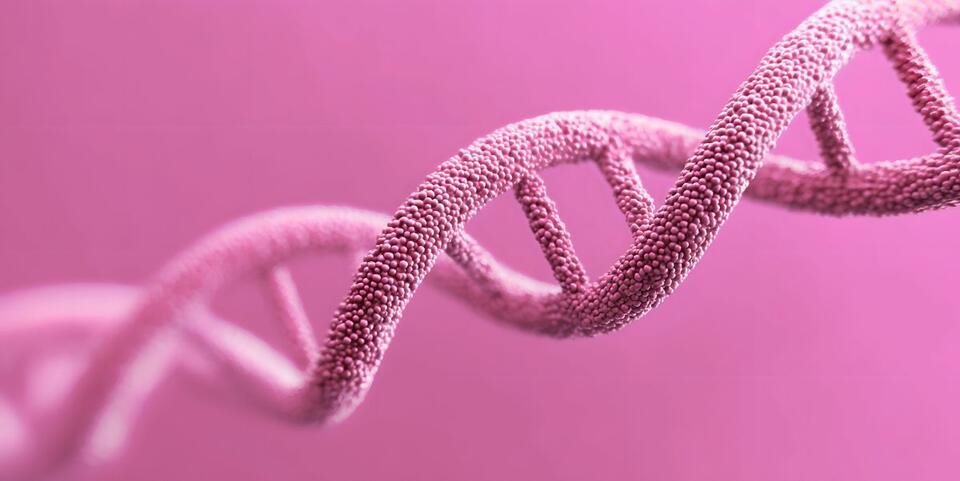 Living with a BRCA mutation: What you need to know about your cancer ...