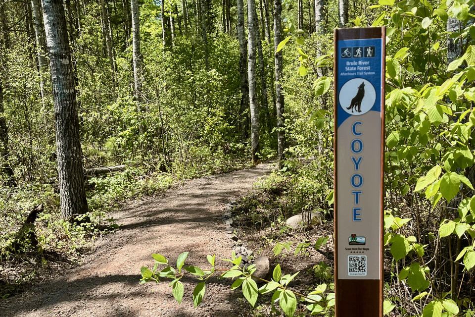 Wisconsin’s Brule River State Forest once excluded mountain biking, but ...