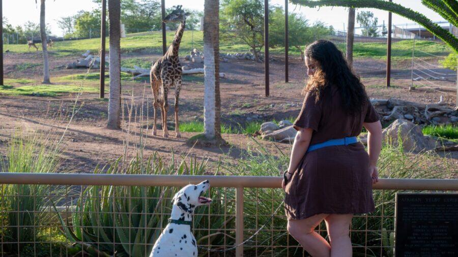 Phoenix Zoo invites guests to bring their dogs for ‘Tails on the Trails’ event