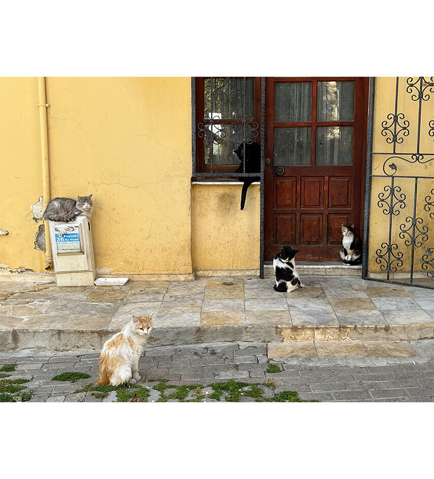 Photo of the Week — August 13, 2026