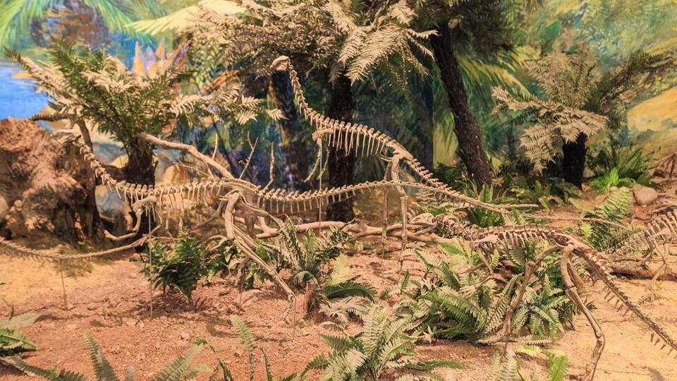 Remarkable Discoveries Show Dinosaurs Exhibited Complex Social ...