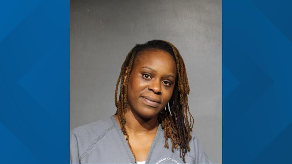 Jacksonville sheriff: Woman arrested for punching, biting officer ...