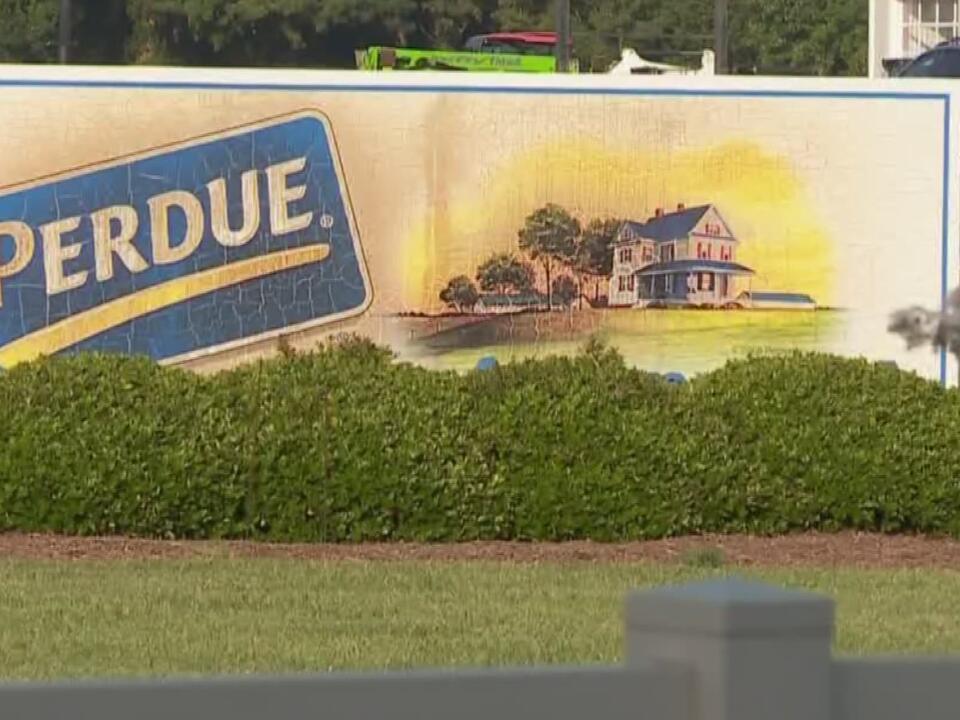Contractor accused of hiring child workers at Perdue Farms plant on the