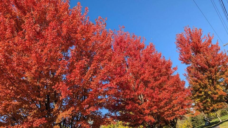 Warm Wednesday with above-normal trend through the rest of the week