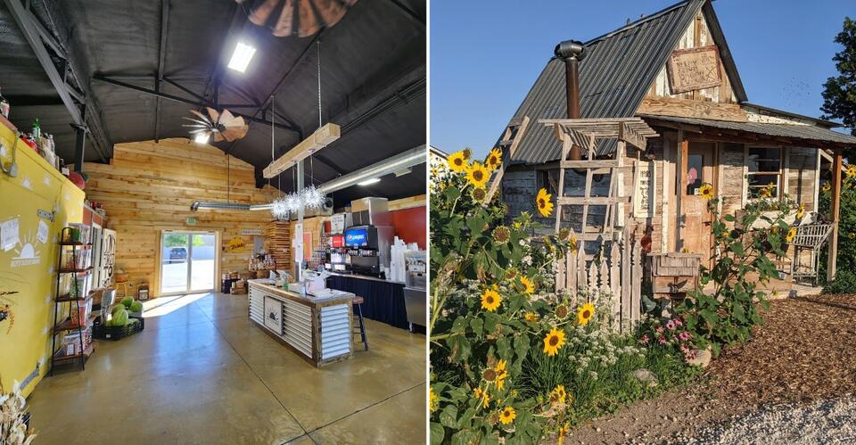 We Ranked 10 Utah Apple Cider Donut Spots From Good To Absolutely Worth ...