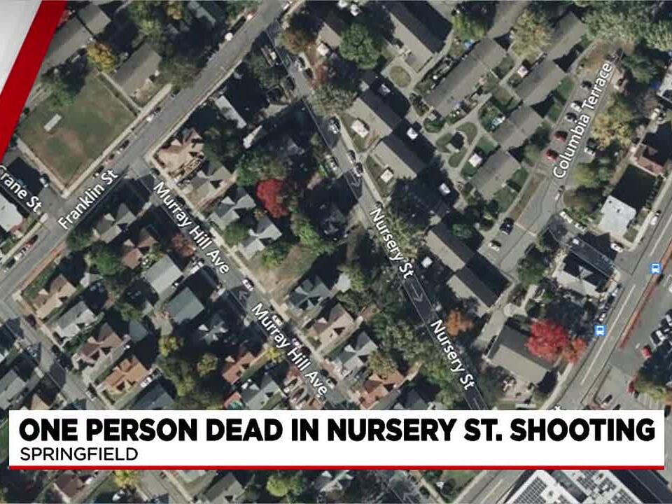 1 dead, following overnight Springfield shooting