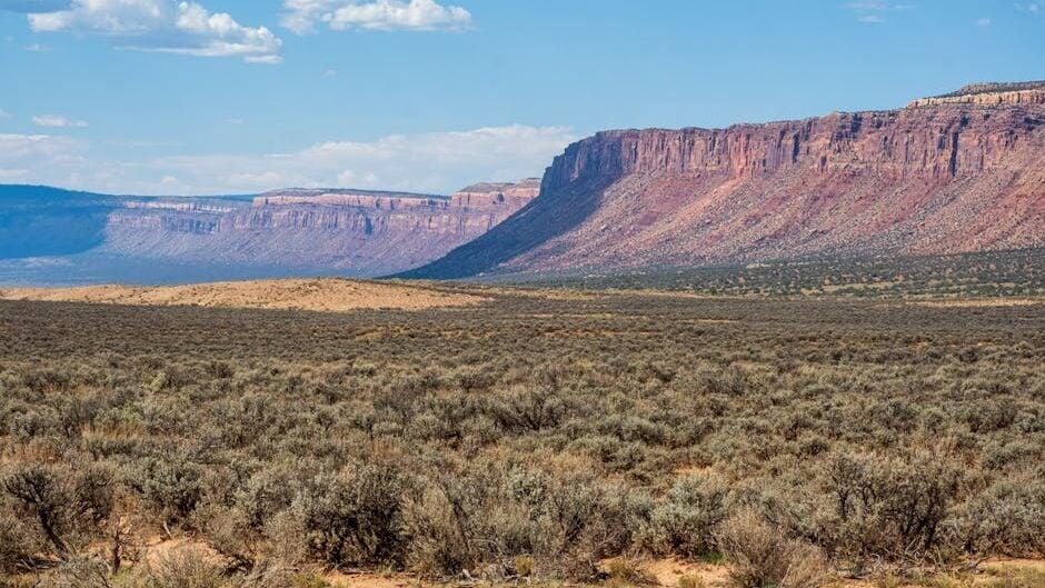 How Did the Colorado Plateau Rise So High Above Sea Level? - NewsBreak