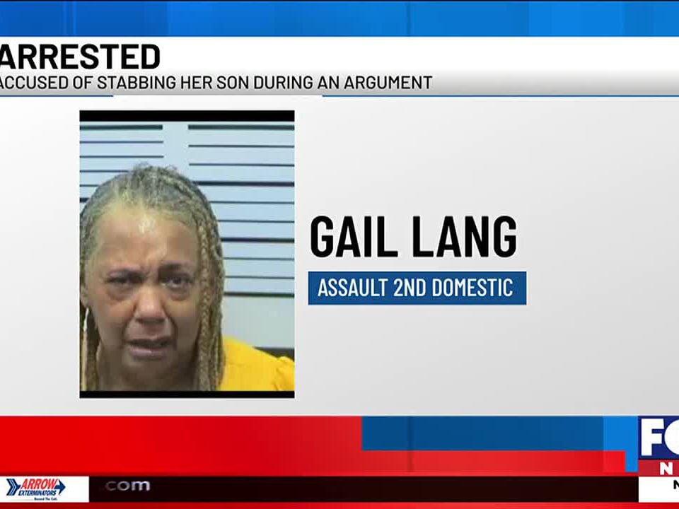 Mom accused of stabbing son during argument