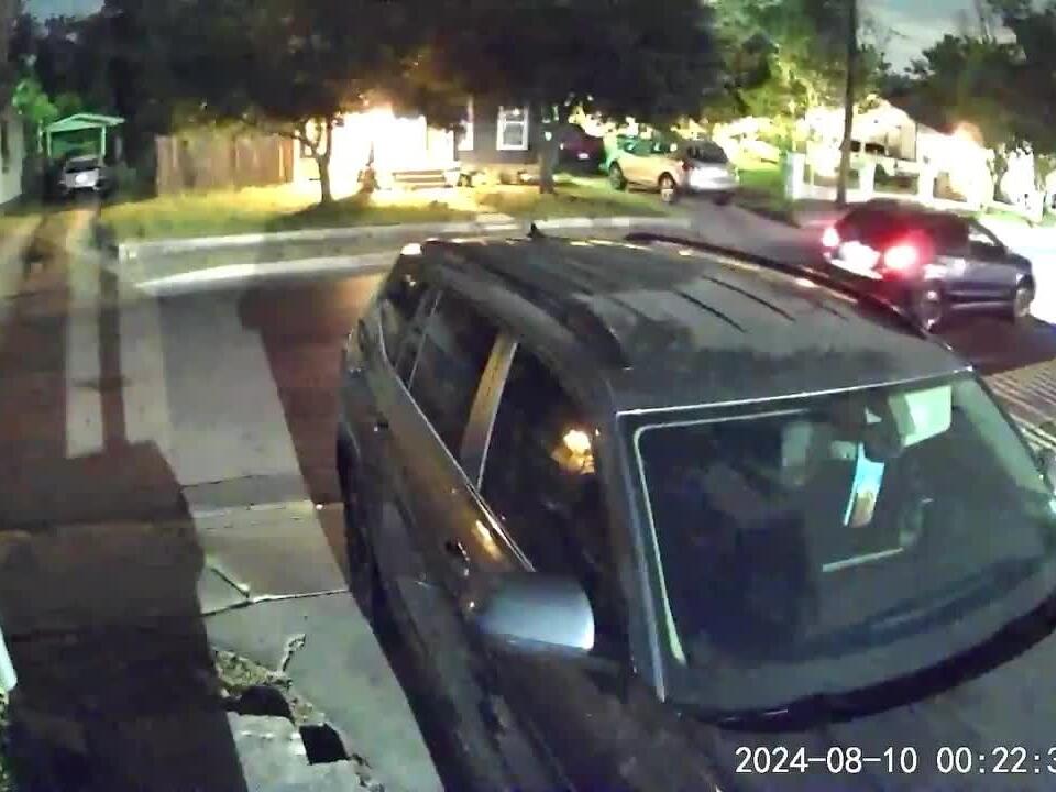 GRAPHIC San Antonio police searching for suspect accused of shooting, killing dog