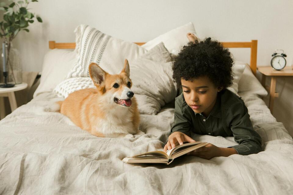 Why Reading to Dogs Can Benefit a Child - NewsBreak