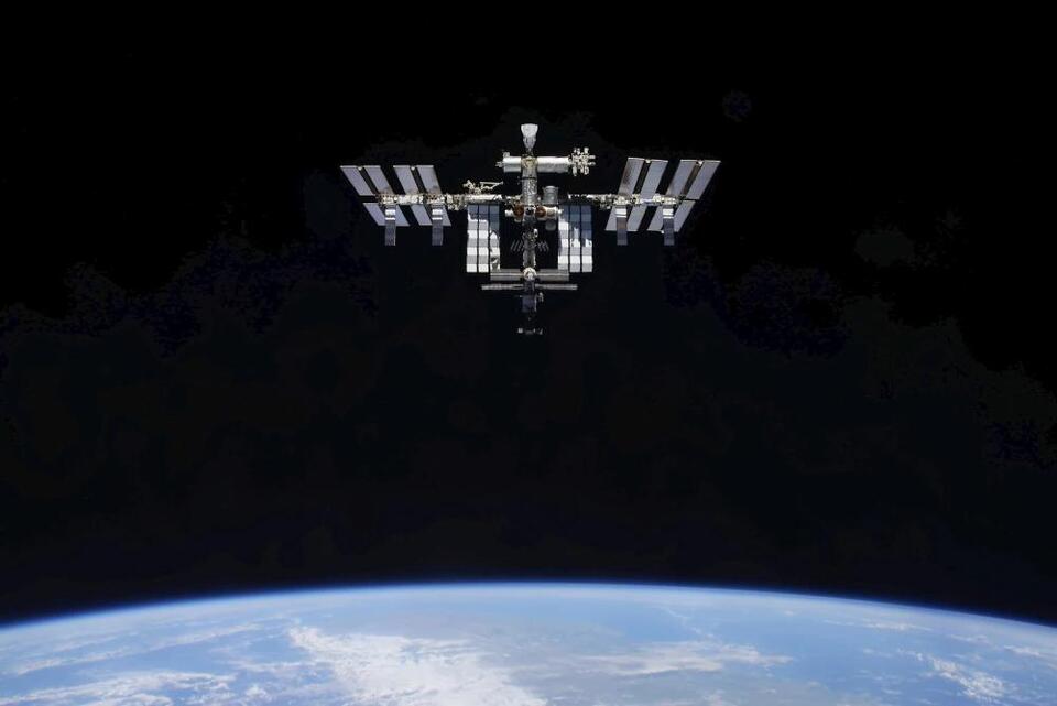 Moss survived in space for nine months, study finds - NewsBreak