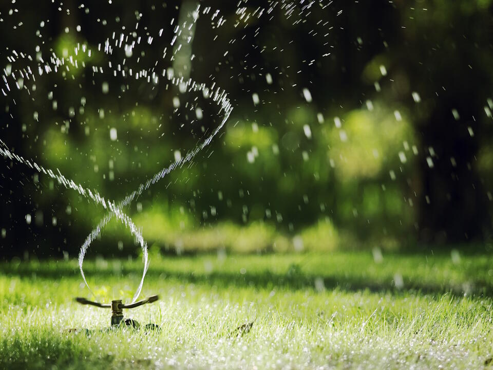 Does watering grass in the sun burn it? Lawn care experts debunk the myth