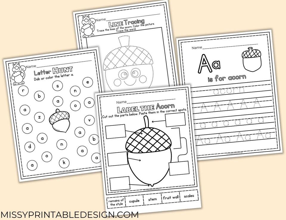 Free Acorn Worksheets for Preschool and Kindergarten - NewsBreak