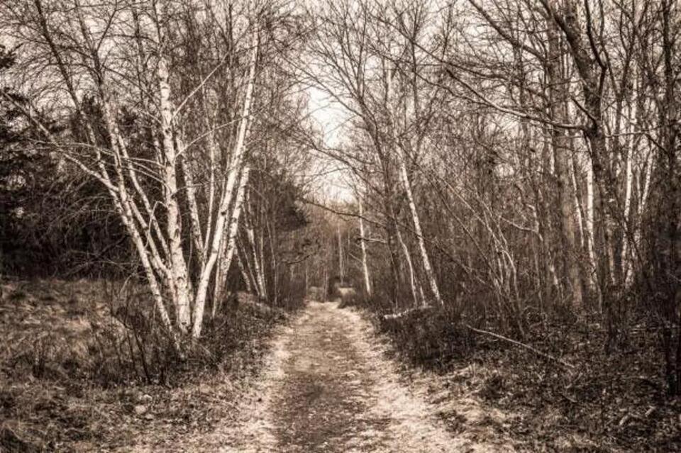 Ghost Towns In Massachusetts: A Journey Through Abandoned Places ...