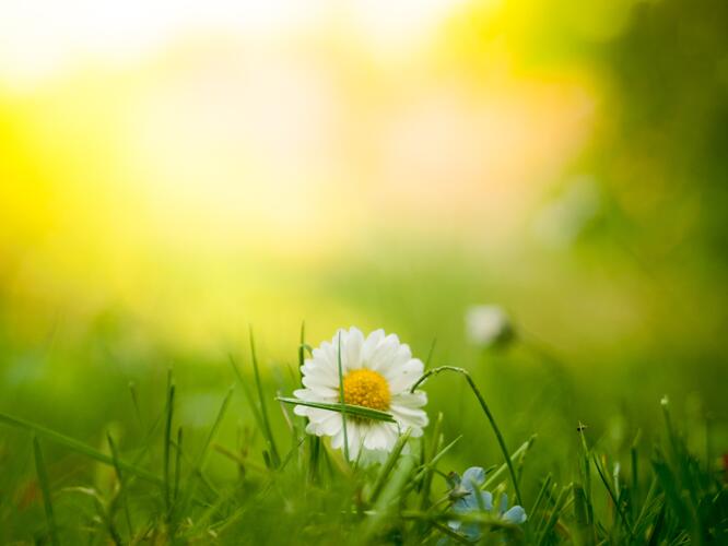 4Day Weather Forecast For Kinder