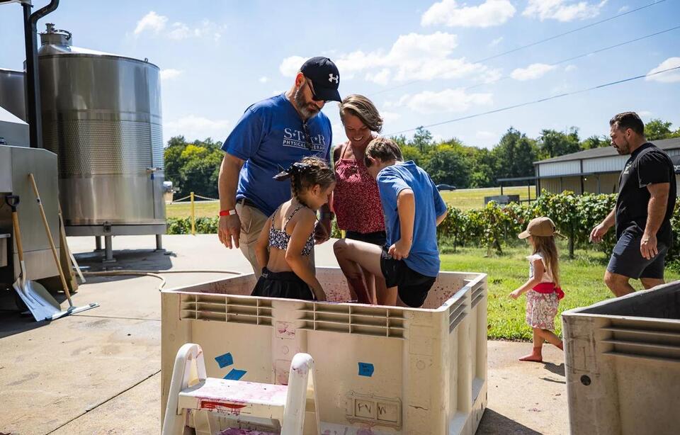 Grape stomping returns to Beachaven Winery for 2nd Harvestfest | PHOTOS