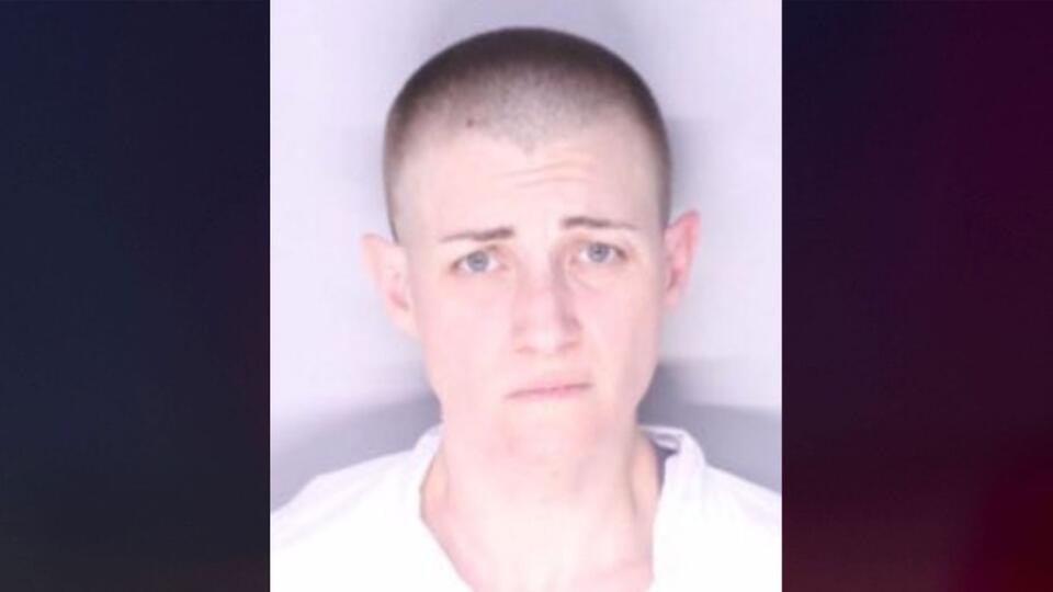 Michigan woman accused of fatally injuring her mother during alleged ...