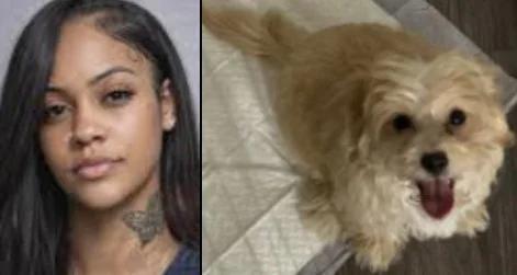 Brookhaven Police Arrest Local Rapper After Video Shows Puppy Cruel ...