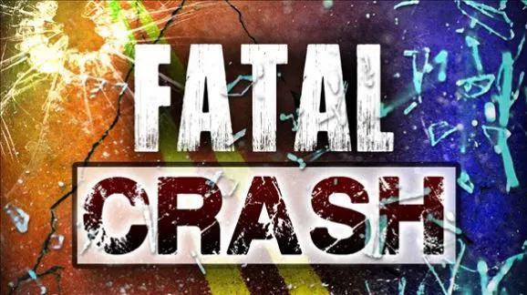 Santa Maria Police Arrest Man in Fatal Hit and Run - NewsBreak