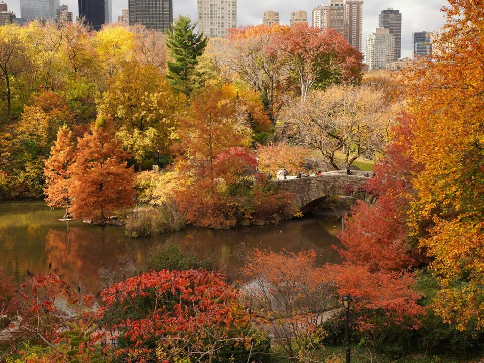 These Are 2024’s Top Spots For Fall Foliage Sightseeing