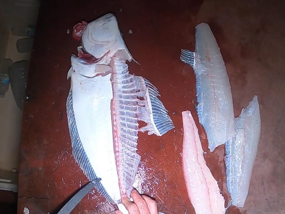 Keeping The Egg Sacks To Eat How To Fillet a California Halibut