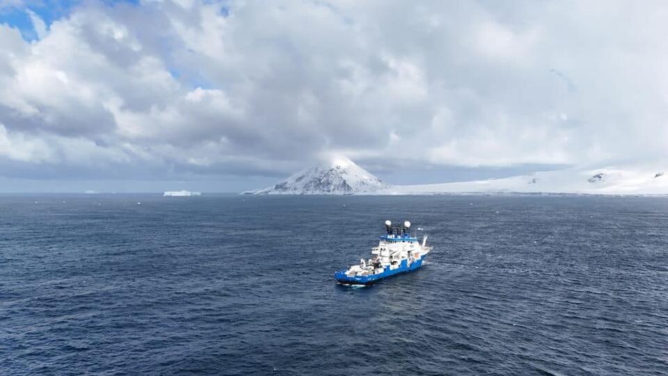 The “Death Ball” Sponge: Meet the Southern Ocean’s Carnivorous New ...