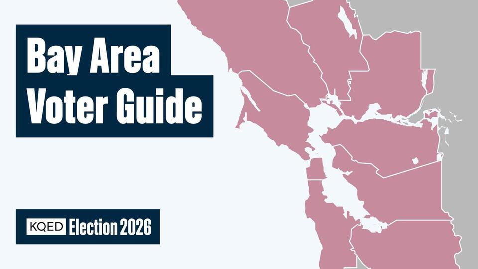 Need Help Filling Out Your Ballot? KQED 2026 Primary Voter Guide Is ...