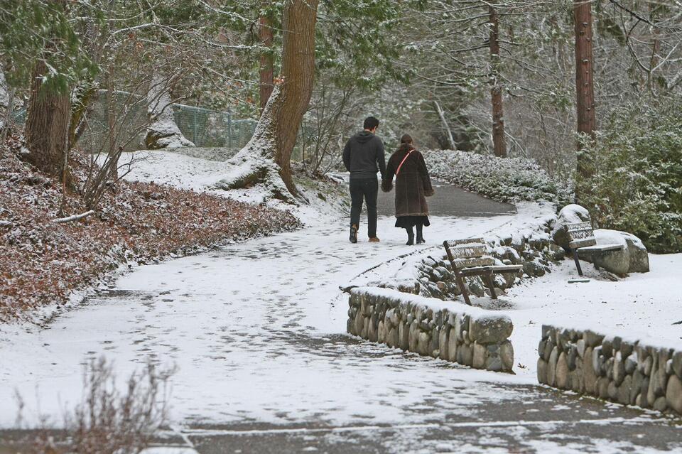 ‘Dynamic document’: Lithia Park master plan moves toward implementation ...