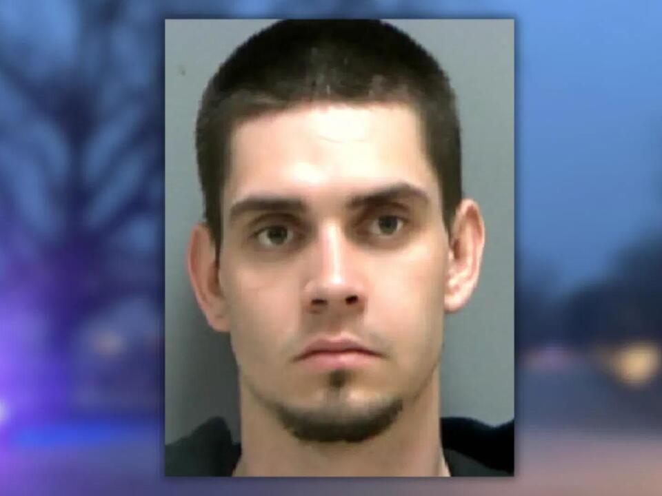 VIDEO: Suspect arrested in resident's backyard after armed robbery near ...