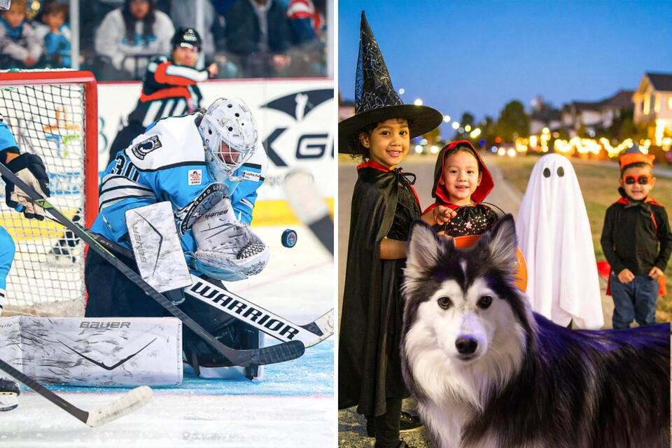 Trick-Or-Treat On The Ice and Bring Your Dog For A Halloween Hockey ...