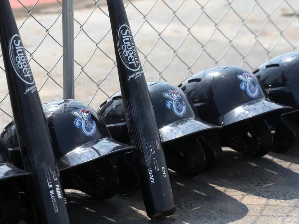 Backyard Sports is making a comeback, Backyard Baseball video game