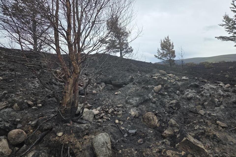 Public told to use ‘extreme caution' as wildfire warning issued for Scotland