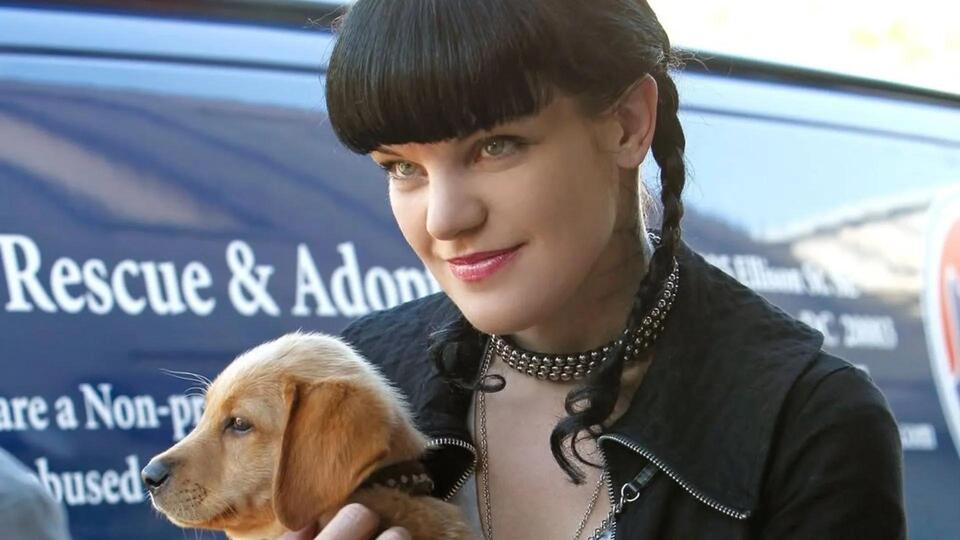 Who played Abby's brother on NCIS? Actor’s career and notable