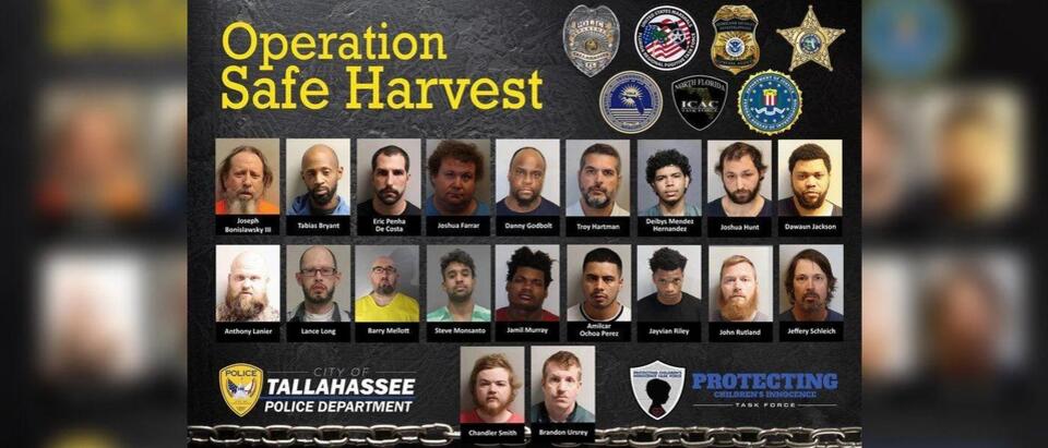 Tallahassee operation leads to 20 arrests in online child predator ...