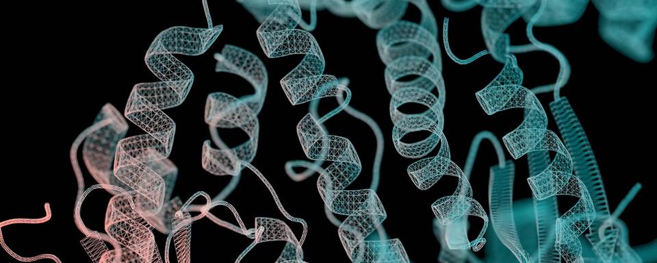 Teaching AI to Invent Enzymes Nature Never Imagined - NewsBreak