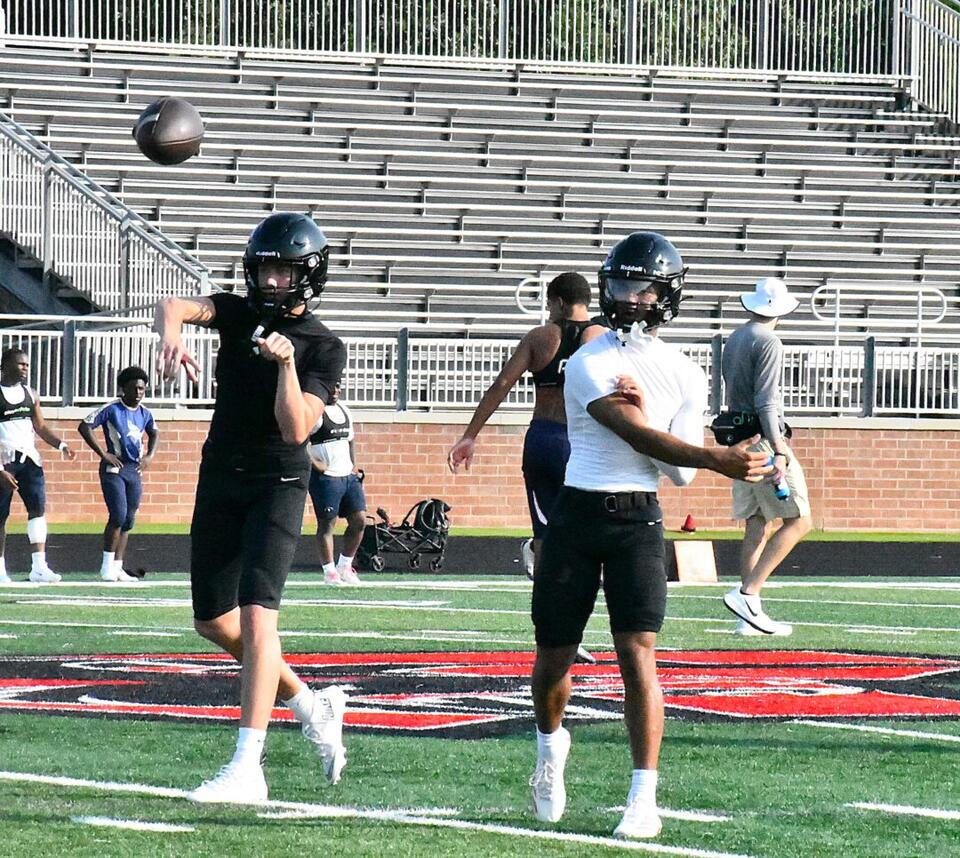Falcons looking to continue soaring in Bentley’s second year