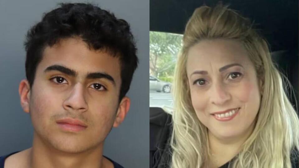‘I’m sorry’: Derek Rosa, 15, pleads guilty to murdering his mother at ...
