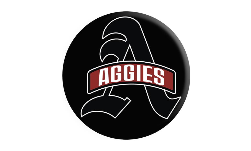 Albertville falls to region foe Fort Payne, 45-21 - NewsBreak