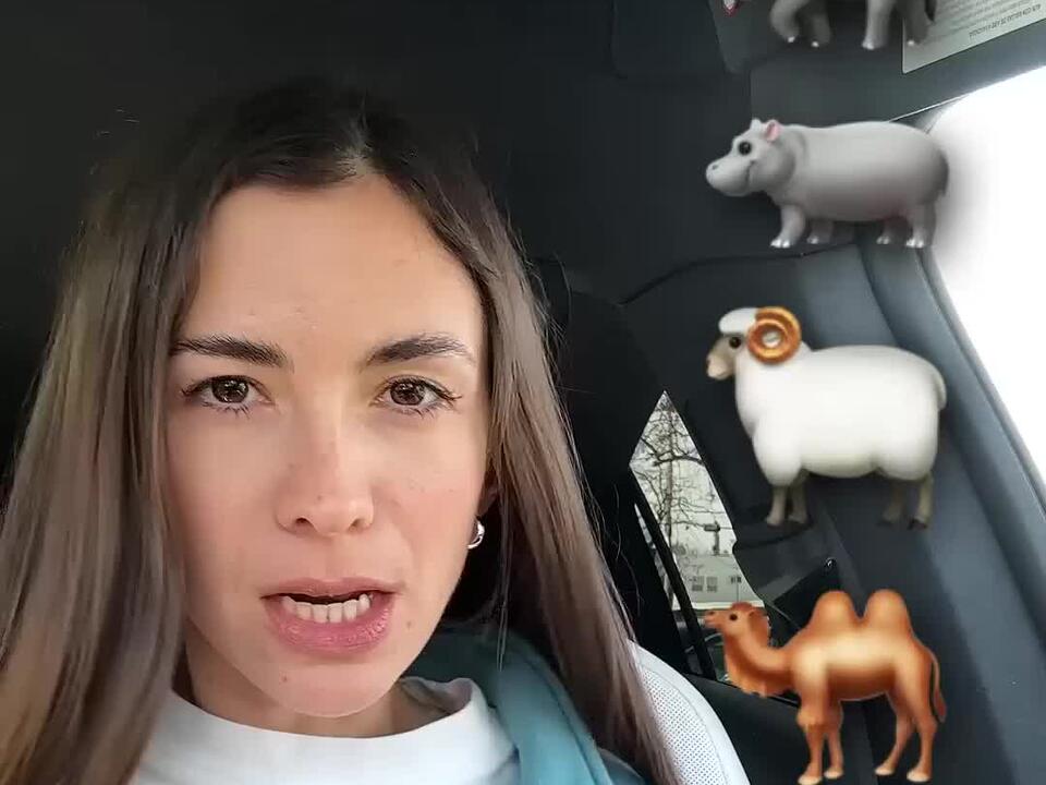 Do you know these words Name these animals in English