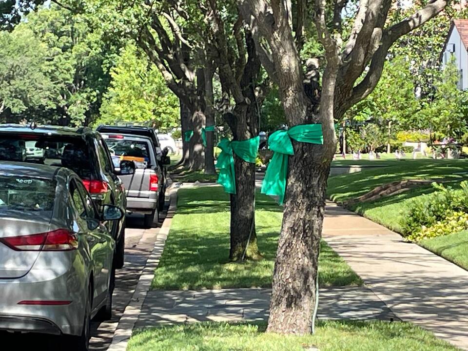 Green ribbons spread across DFW in memory of flood victims - NewsBreak
