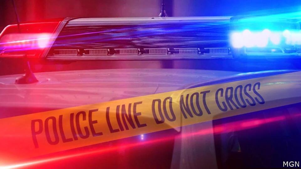 Possible human remains found in Rusk County woods by forester marking ...