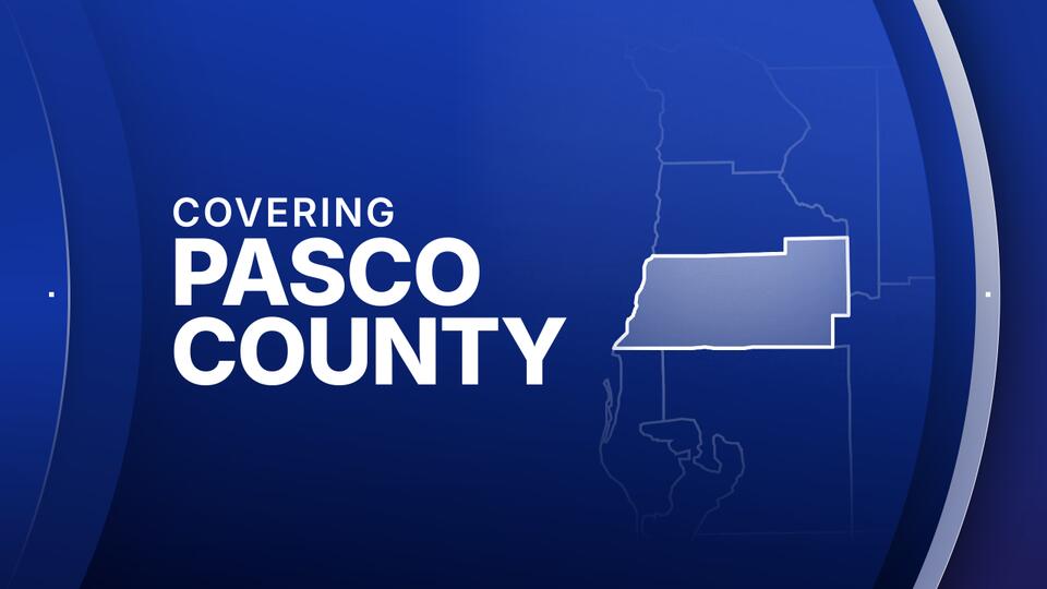Trinity woman accused of torturing and killing cat over several days ...