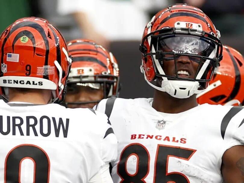 Joe Burrow feels optimistic about Tee Higgins remaining in Cincinnati