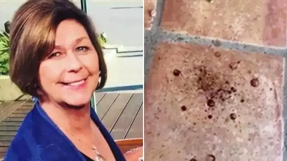 'Really Concerning': Forensic Scientist Claims Nancy Guthrie Was ...