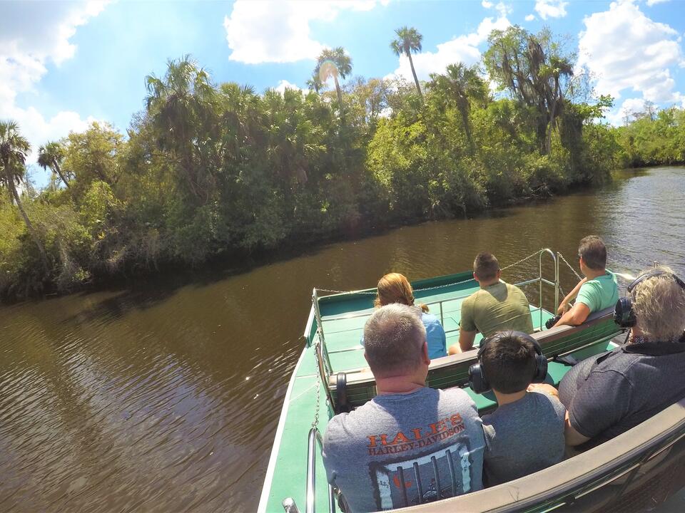 Spotted one of the biggest Florida gators on the river on this Peace