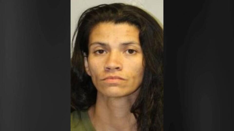 Bail maintained for Hilo woman charged in series of property crimes at ...