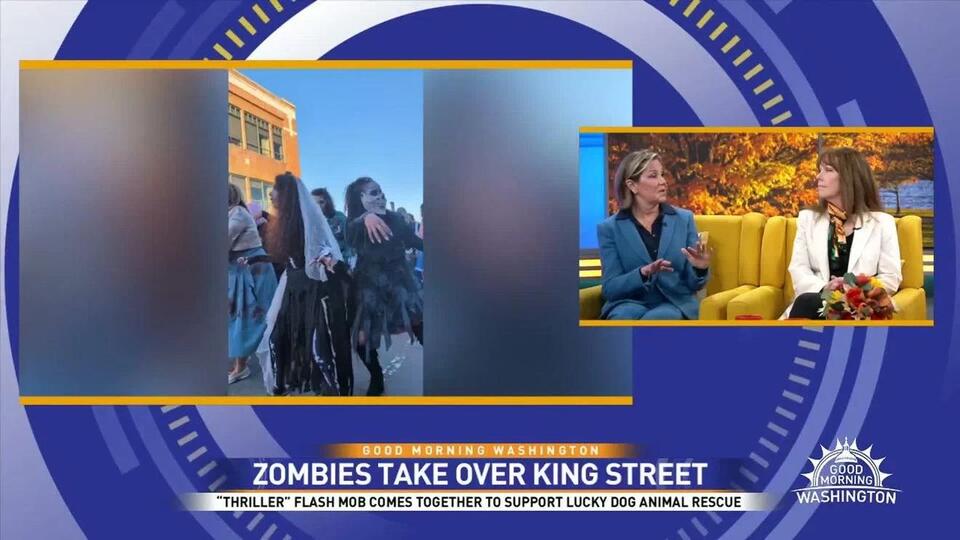 Undead and un-leashed: Thriller dancers raise funds for Lucky Dog ...