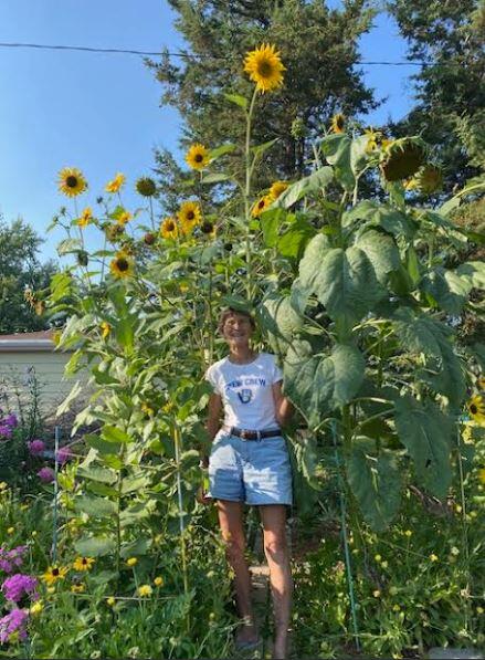 Annual Sunflower Challenge – submit your favorite photo