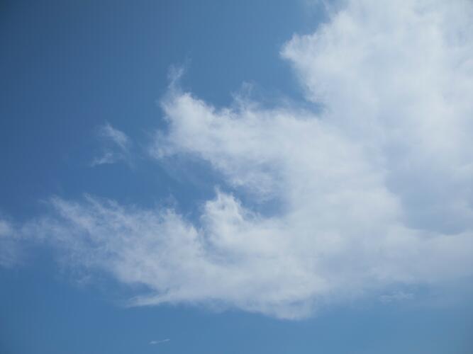 Porcupine Daily Weather Forecast