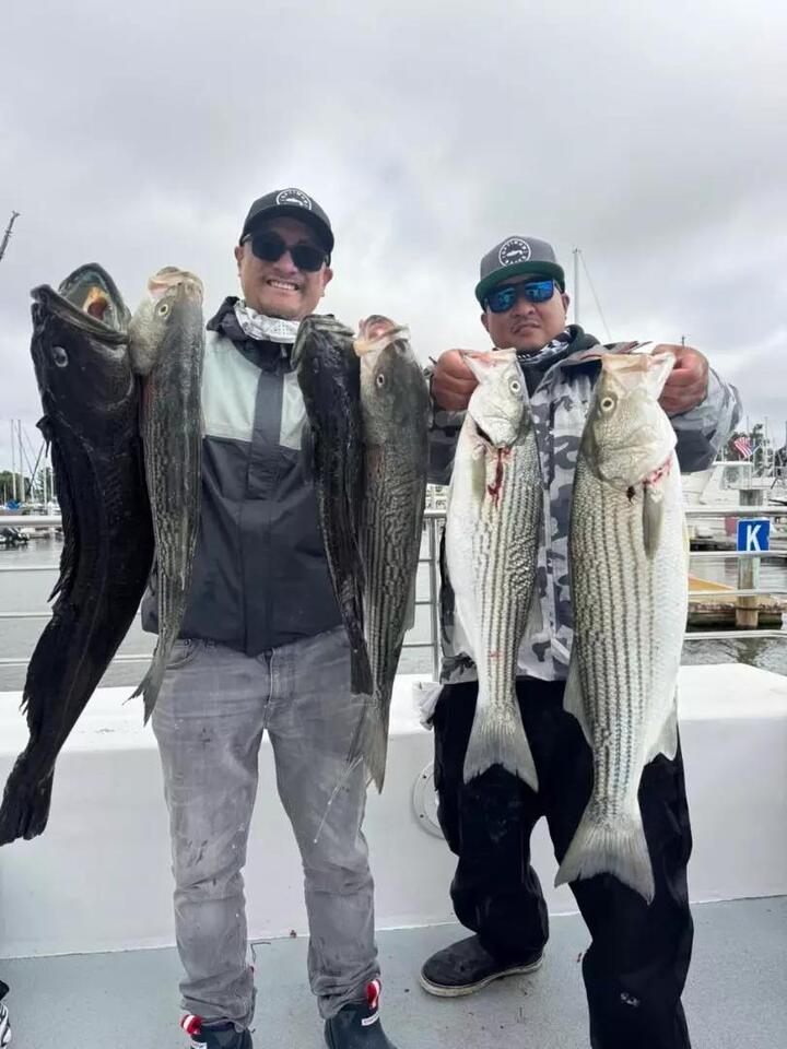 Phenix Rods / Optimum Baits sponsored trip